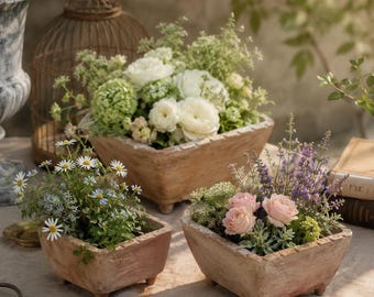 Può includere: Tre fioriere quadrate color terracotta piene di fiori. La fioriera più grande contiene rose bianche e fogliame verde. Le altre due contengono margherite, fiori blu, rose rosa e lavanda. Le fioriere sono su una superficie neutra.
