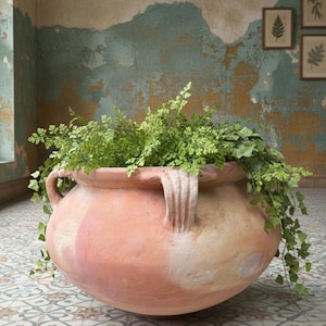 May include: A large, round terracotta planter filled with lush green plants. The planter has two handles and a weathered, aged appearance. The plants spill over the sides, creating a natural, organic look. The planter is a decorative item.