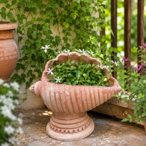 May include: A large, coral-colored seashell-shaped planter filled with green plants and white flowers. The planter has a textured, ridged design and sits on a pedestal base. The background features greenery and a stone patio.