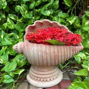 Conch Shell Planter - Large Terracotta Seashell Flower Pot for Coastal Garden Decor, Nautical Indoor Plant Holder, Unique Beach House Gift