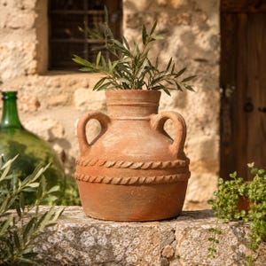 May include: A terracotta amphora-style planter with two handles and a decorative rope-like band around the middle. The planter holds a green leafy plant. The background includes a stone wall, a green glass bottle, and a wooden door.