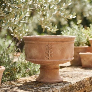 Könnte beinhalten: Ein Terrakotta-Pflanzgefäß mit einer breiten, kreisförmigen Schale und einem Sockelfuß. Die Außenseite zeigt ein erhabenes, geprägtes Blumenmotiv auf der Vorderseite. Die Oberfläche hat ein natürliches, mattes, erdiges Orange mit Textur.