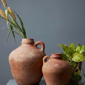 Op de afbeelding: Twee terracotta vazen met handvatten, een grote en een kleine, staan op een grijze ondergrond. De grotere vaas bevat hoge, gedroogde grassen. Rechts staat een potplant met groene bladeren. De vazen hebben een rustieke, verouderde uitstraling.