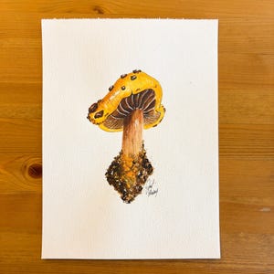 Hand Painting Mushroom Watercolor Art No.002 - Wall Decoration - Artist Signed - 21x29cm Mushroom Painting Uniquely Hand Drawn