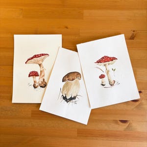 Triple Watercolor Unframed Hand Drawn 3PIECES Art No.102 - Wall Decoration - Artist Signed - 21x29cm Mushroom Painting