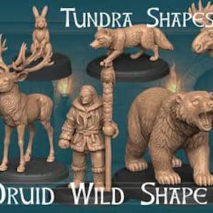 Op de afbeelding: Een verzameling bruine beeldjes van bosdieren en een menselijke figuur, waaronder een hert, een beer, een wolf en een konijn. De tekst "Tundra Shapes" en "Druid Wild Shape Vol. 5" staan boven en onder de beeldjes.