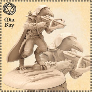 Dungeons and Dragons, DND TTRPG, Wargaming - Playable Character - Aarakocra, Kenku, Birdfolk - Rogue, Fighter, Warrior, Ranger