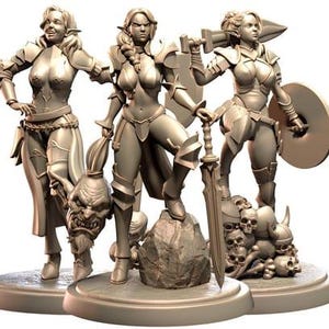 Dungeons and Dragons, DND TTRPG, Wargaming - Playable Character - Female Elf Draelith, Eldariel, Nymara - Barbarian, Warrior, Fighter