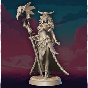 Dungeons and Dragons, DND TTRPG, Wargaming - Playable Character - Female Human Lirael - Druid, Sorceress
