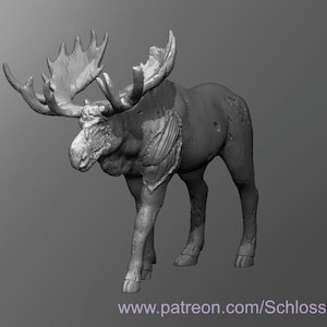 May include: A detailed, grey, 3D printed model of a moose with large antlers. The model is posed standing with its head turned to the side.