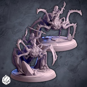 Dungeons and Dragons, DND TTRPG, Wargaming - Large Monstrosity - Drider
