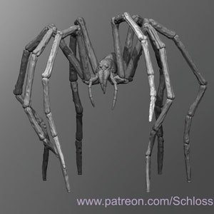 May include: A detailed 3D model of a large, segmented spider with eight long legs. The spider is rendered in grayscale and appears to be made of a hard, chitinous material. The model is posed in a threatening stance, with its legs spread wide and its fangs bared.
