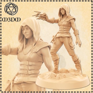 Dungeons and Dragons, DND TTRPG, Wargaming - Playable Character - Female Human - Arcane Trickster Rogue