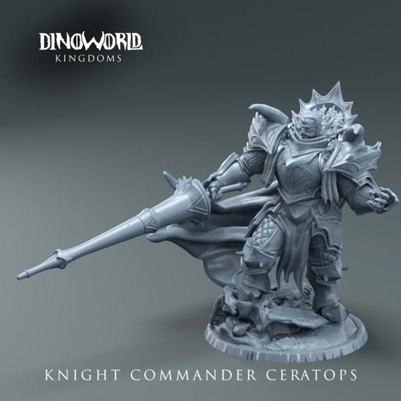 Dungeons and Dragons Playable Character Human Lancer, Paladin, Knight ...