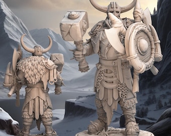May include: Two detailed, light-colored warrior figurines. The front figure holds a hammer and shield, while the other has an axe and shield. Both wear horned helmets and fur-lined armor. The text "Icestorm Vanguard A" is at the top.