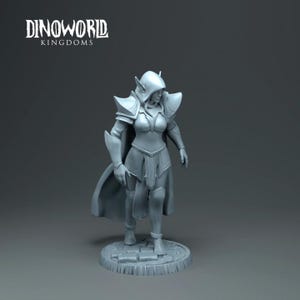 Dungeons and Dragons, DND TTRPG, Wargaming - Playable Character - Elf - Fighter, Warrior, Rogue, Ranger, Barbarian