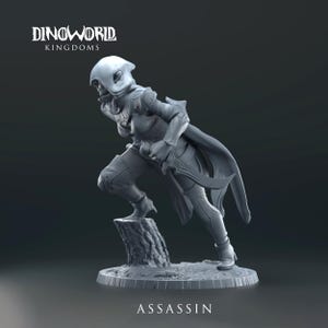 Dungeons and Dragons, DND TTRPG, Wargaming - Playable Character - Elf - Rogue, Fighter, Warrior, Barbarian