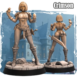Dungeons and Dragons, DND TTRPG, Wargaming - Spielbarer Charakter Weiblich Mensch - Crimson - Schurke, Kämpfer, Kriegerin, Barbar