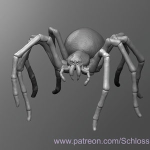 Dungeons and Dragons, DND TTRPG, Wargaming - Druid Wildshape Large Beast - 26mm Tall - Giant Spider