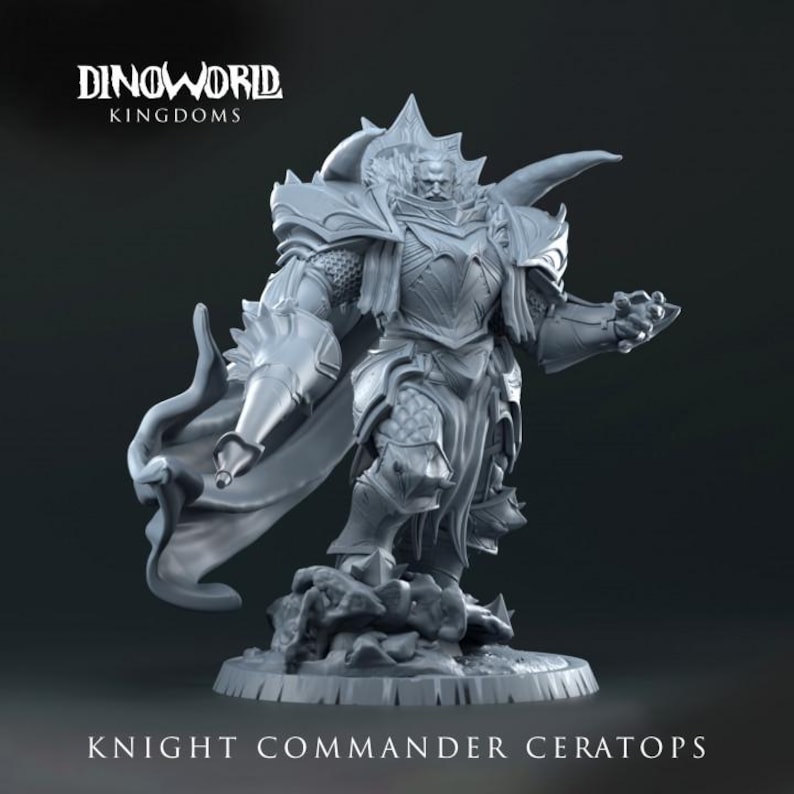 Dungeons and Dragons Playable Character Human Lancer, Paladin, Knight ...