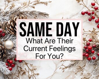 SAME DAY TAROT - How Do They Feel?