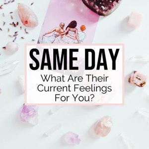 May include: A pink and white background with crystals and a card that reads "SAME DAY What Are Their Current Feelings For You?"