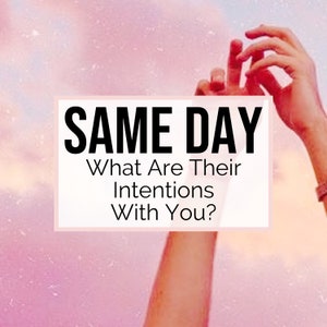 SAME DAY TAROT - What Are Their Intentions With You? | What Do They Want To Happen | 24 Hour Tarot Reading