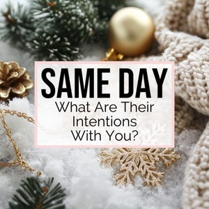 SAME DAY TAROT - What Are Their Intentions With You? | What Do They Want To Happen | 24 Hour Tarot Reading