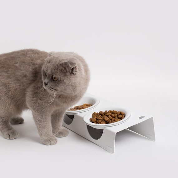 cat feeding shelf