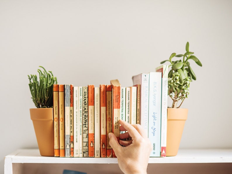 Plant Pot Book Ends 2 Decorative Bookends For Shelves Indoor Plant Pots Terracotta Style Pot Planter Bookends Bookshelf Decor image 3