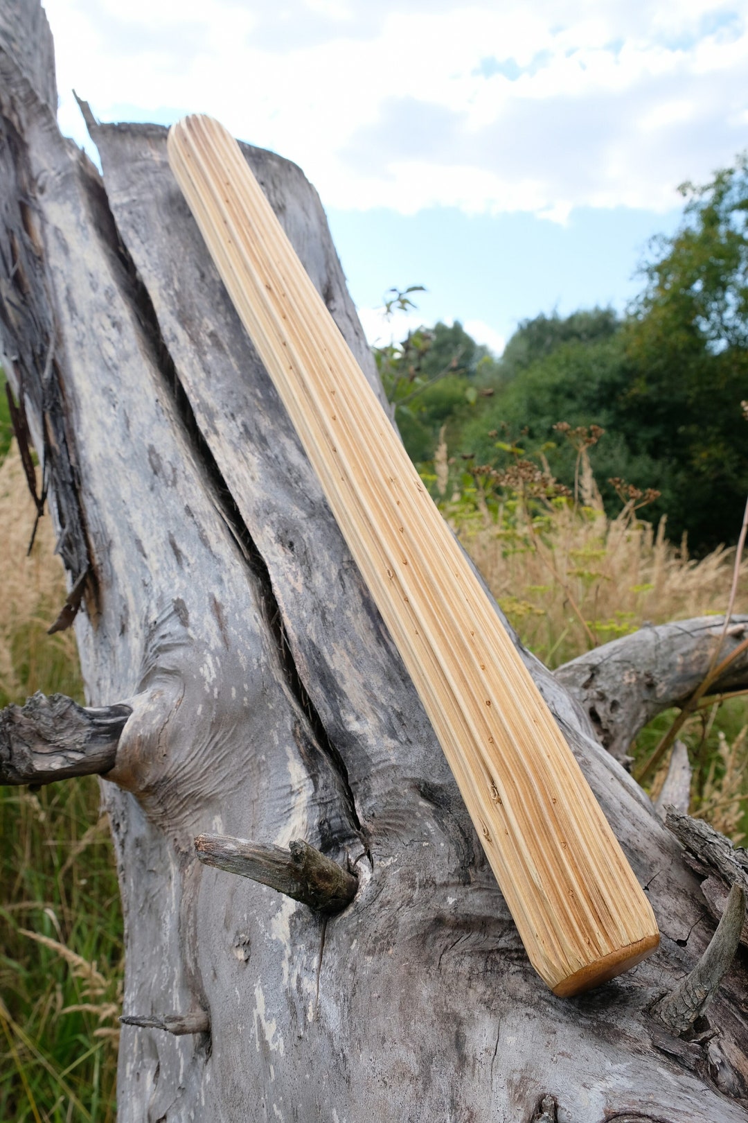 Rainstick Rain Flute Native American Instrument for Sound Etsy