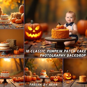10 Classic Pumpkin Patch Cake Smash Photography Digital Backdrop | Rustic Fall Harvest Birthday Background | Autumn Baby Photo Shoot Prop