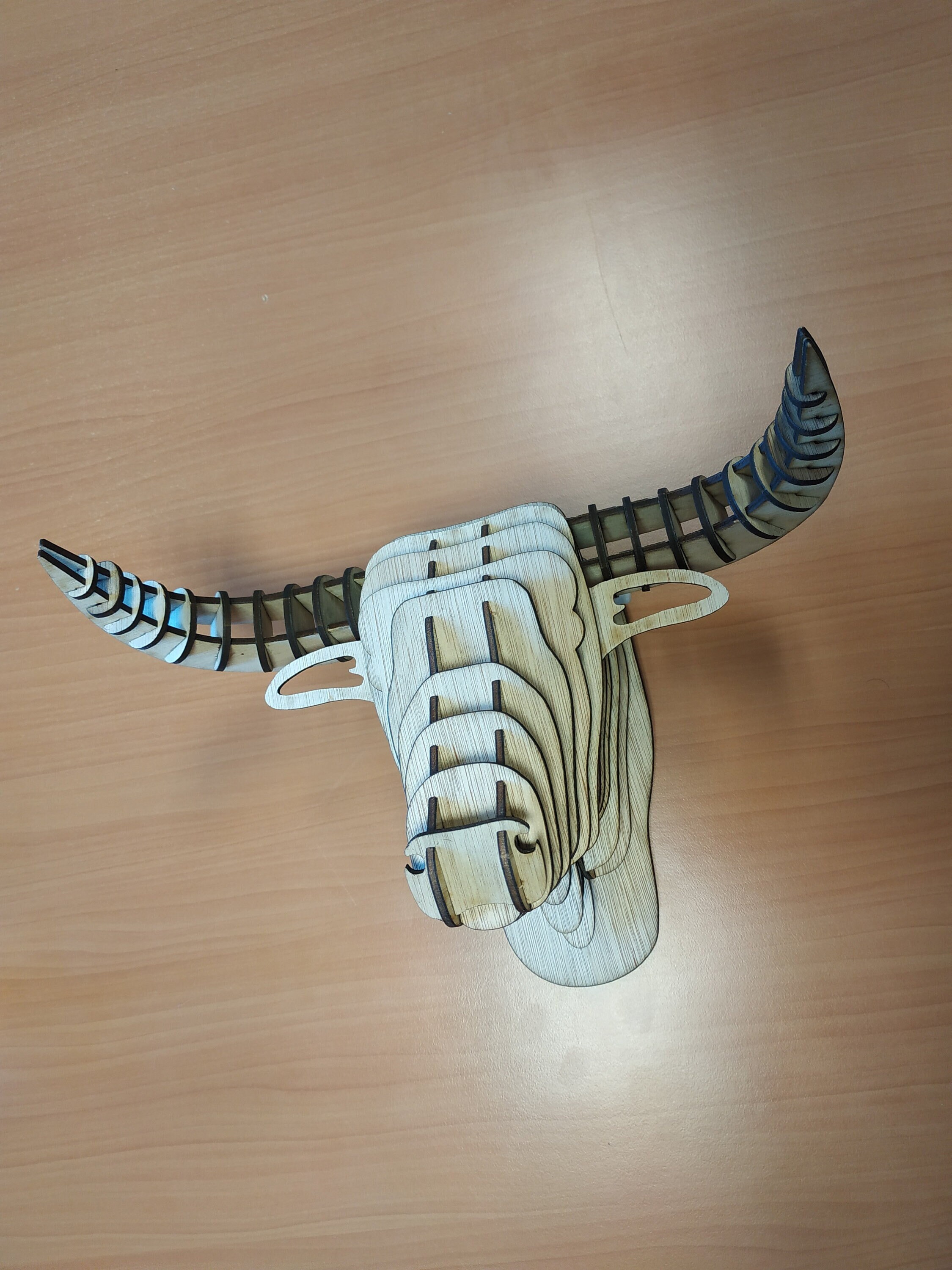 Tête de Taureau en Bois