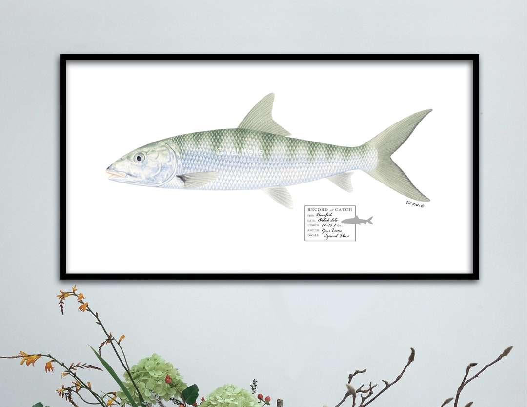 CUSTOM 22x11 23x12 Bonefish Prints With Custom Catch Stamps ...
