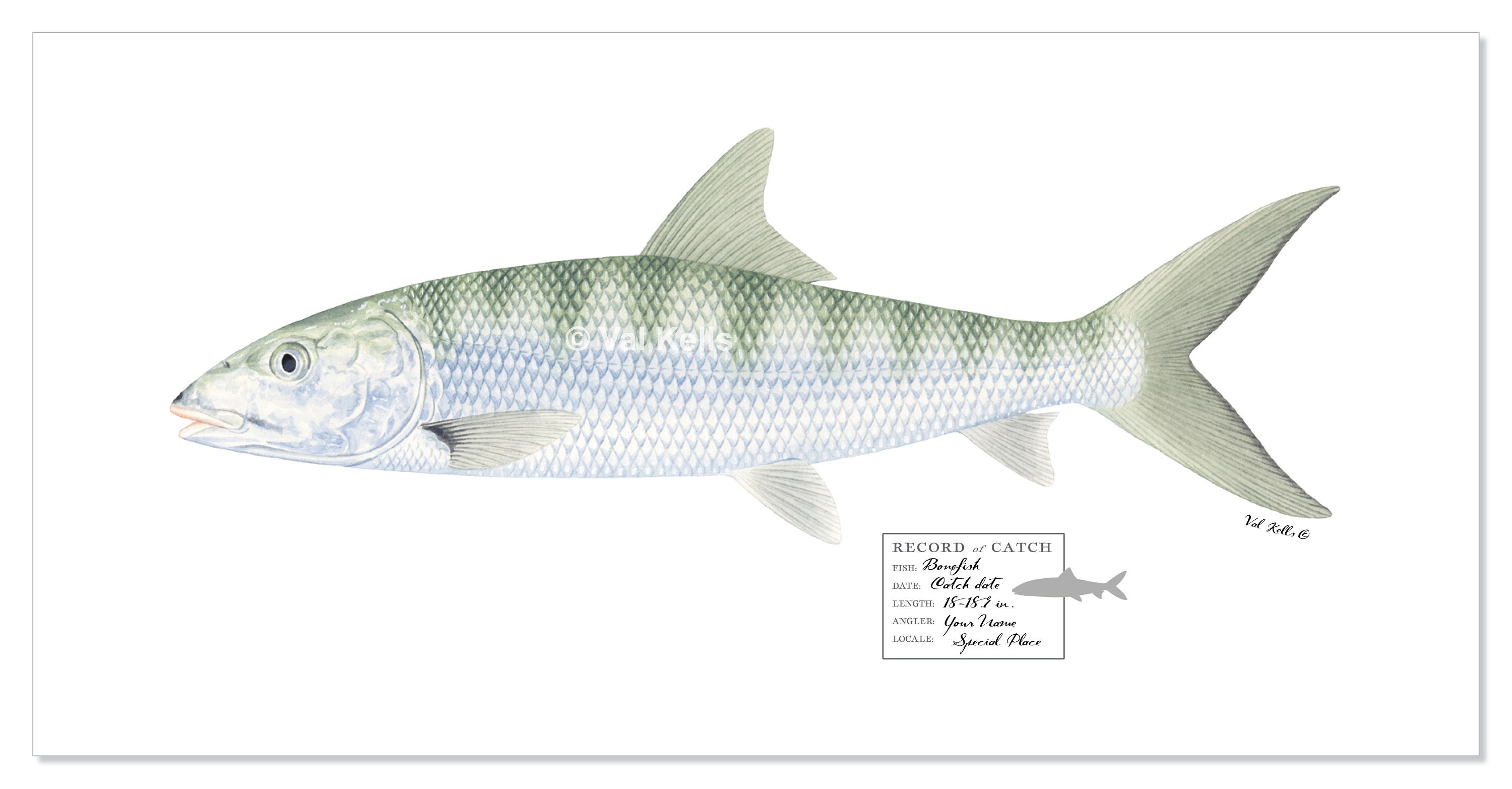 CUSTOM 22x11 23x12 Bonefish Prints With Custom Catch Stamps ...