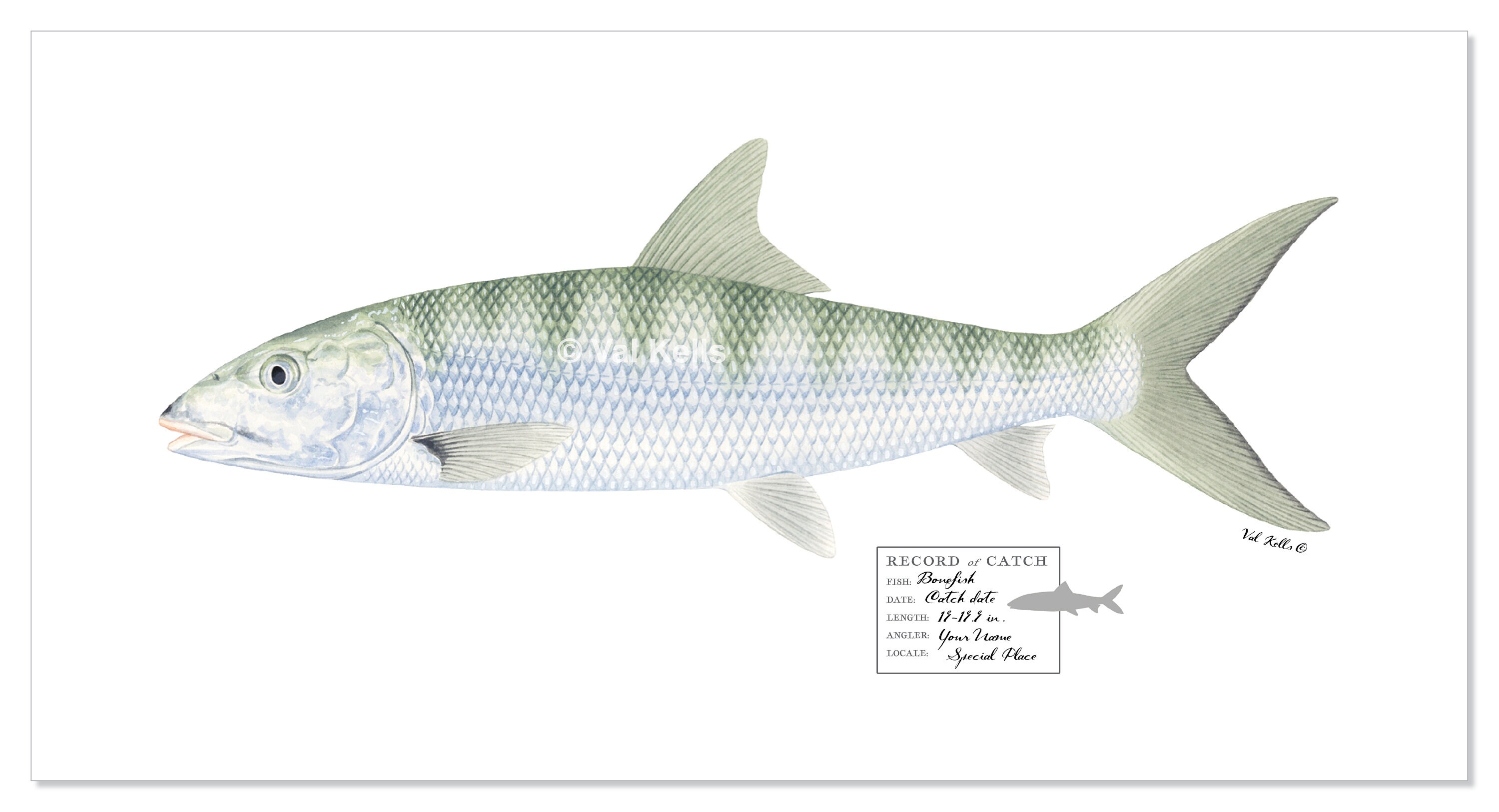 CUSTOM 22x11 23x12 Bonefish Prints With Custom Catch Stamps ...