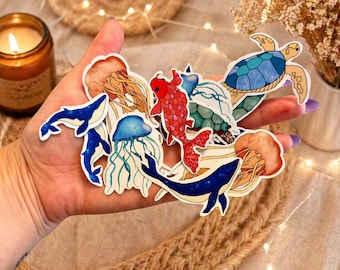 Australian Marine Life Stickers | Waterproof Ocean Animals, Whales, Jellyfish, Turtle (11 Pack)