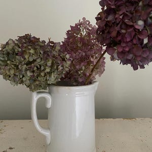 White Ironstone Pitcher by Johnson Brothers or James Carr, Rare Antique