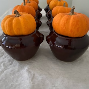 May include: Six small orange pumpkins are placed on top of six brown ceramic pots. The pots have a rounded shape and a textured surface.