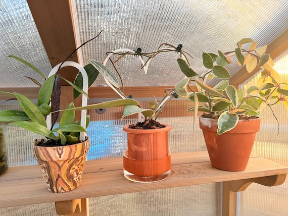 The Heartleaf | 3D Printed Trellis | Heart Plant Trellis | Hoya Trellis |  Plant Support | Plant Care | Heart Trellis | Valentine's Gift - Etsy