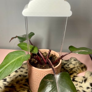 May include: A potted plant with large green leaves and dark red stems. A white cloud-shaped plant stake is suspended above the plant by clear acrylic rods. The pot is light pink with a geometric pattern.