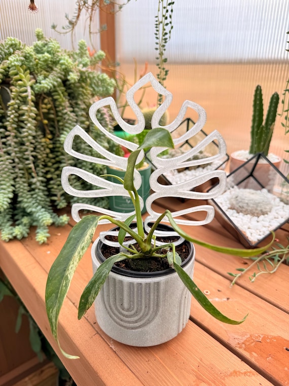 The Deliciosa | 3D Printed Trellis | Tropical Plant Trellis | Hoya Trellis  | Plant Support | Plant Care | Monstera Trellis | Trailing Plants - Etsy