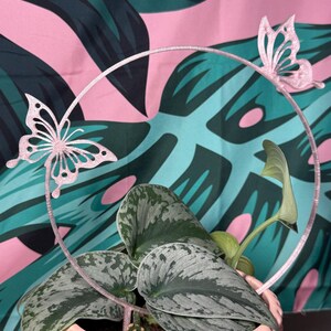 May include: A pink, round plant pot with a textured surface, holding a green plant with silver markings. A pink metal ring with two butterfly cutouts encircles the plant. The background features a pink and teal tropical leaf pattern.