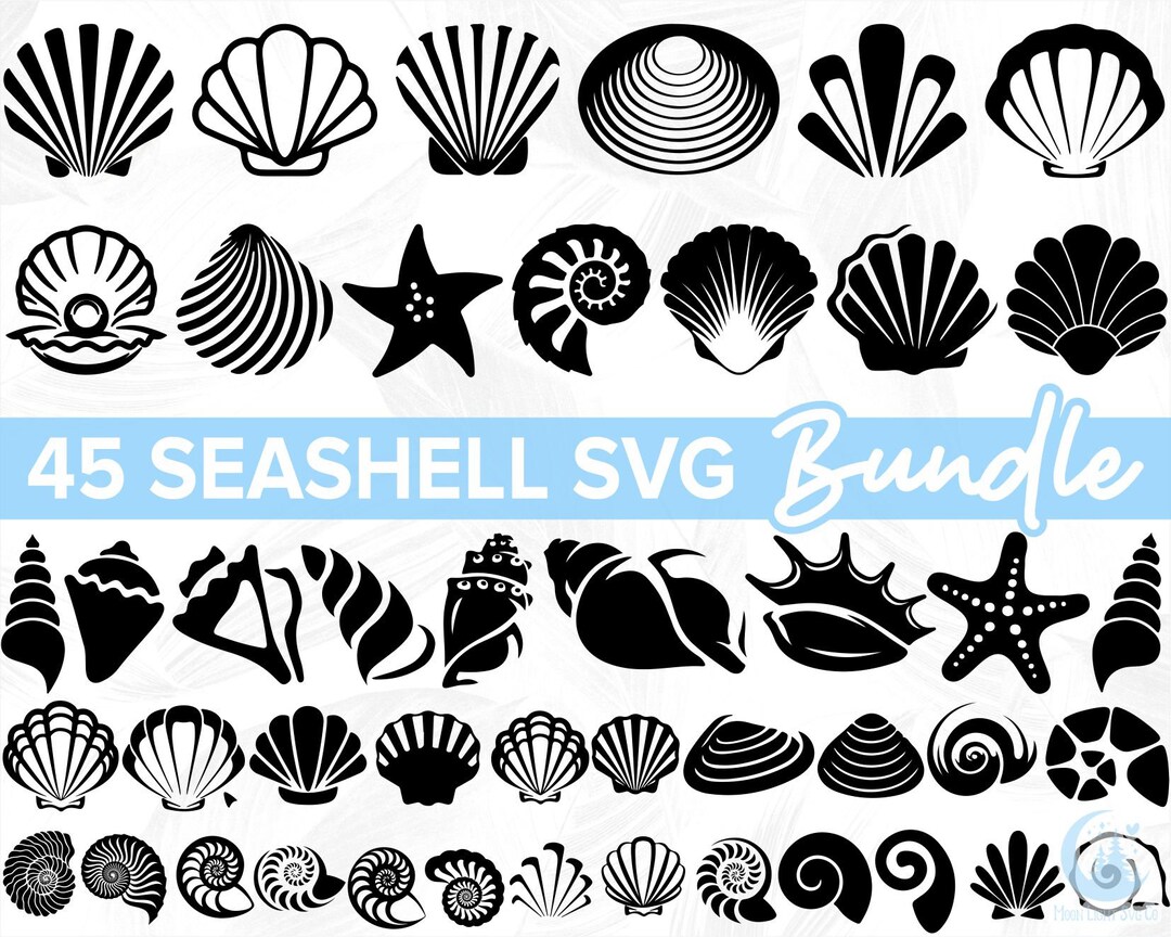 SEASHELL SVG / Seashells Svg / Seashell Svg File / Ocean Svg / - Etsy ...