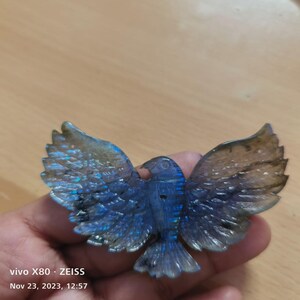 Puede incluir: Una escultura de piedra de labradorita tallada de un p&aacute;jaro con las alas extendidas. La escultura presenta tonos iridiscentes azules, verdes y dorados. Las alas del p&aacute;jaro est&aacute;n detalladas con plumas talladas, y el cuerpo es de color azul oscuro.