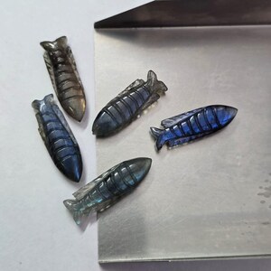 Natural Labradorite Carved Fish Bead: Handmade Gemstone Charm (25x7mm)