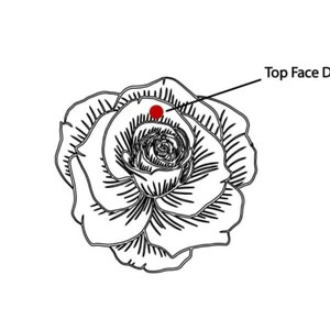 May include: Black and white line drawing of a rose with a red dot labeled "Top Face Drill". The rose is in full bloom, with detailed petals and a central spiral.