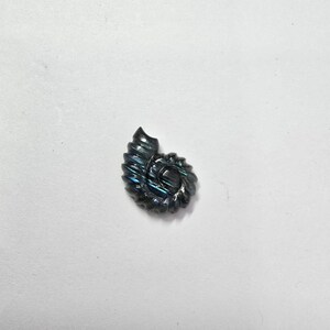 Peut inclure: Une pierre précieuse de labradorite bleue et noire irisée sculptée en forme de coquille de nautile.