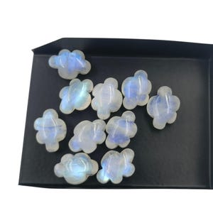 Pode incluir: Uma coleção de cabochões de pedra da lua em forma de flor. As pedras são brancas translúcidas com flashes azuis e iridescentes. Estão dispostas numa bandeja preta, mostrando as suas formas e cores únicas. Ideais para a criação de joias.