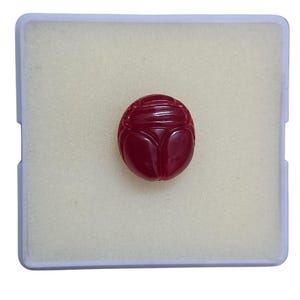 May include: A polished, deep red scarab beetle carving. The beetle is oval-shaped with detailed wing and body segment carvings. It rests in a white foam insert within a clear plastic case, ideal for display or collection.